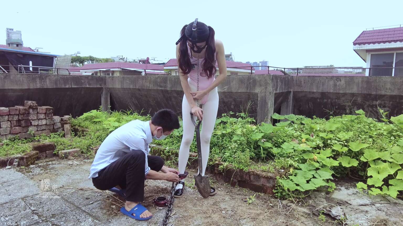 小驴原创，你是在田间除草吗？